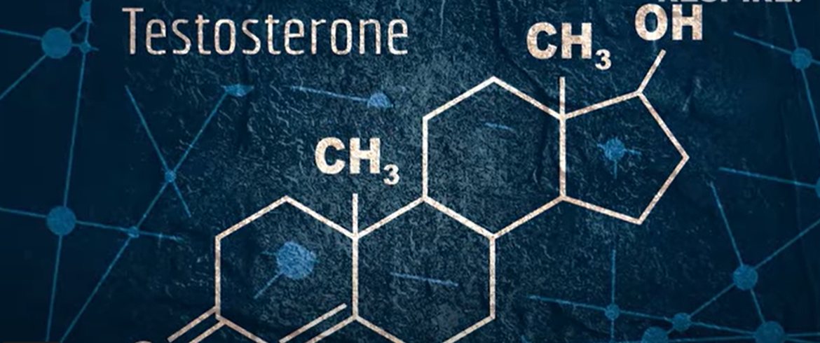 5 Rules to Triple Your Testosterone Levels by Andrew Huberman