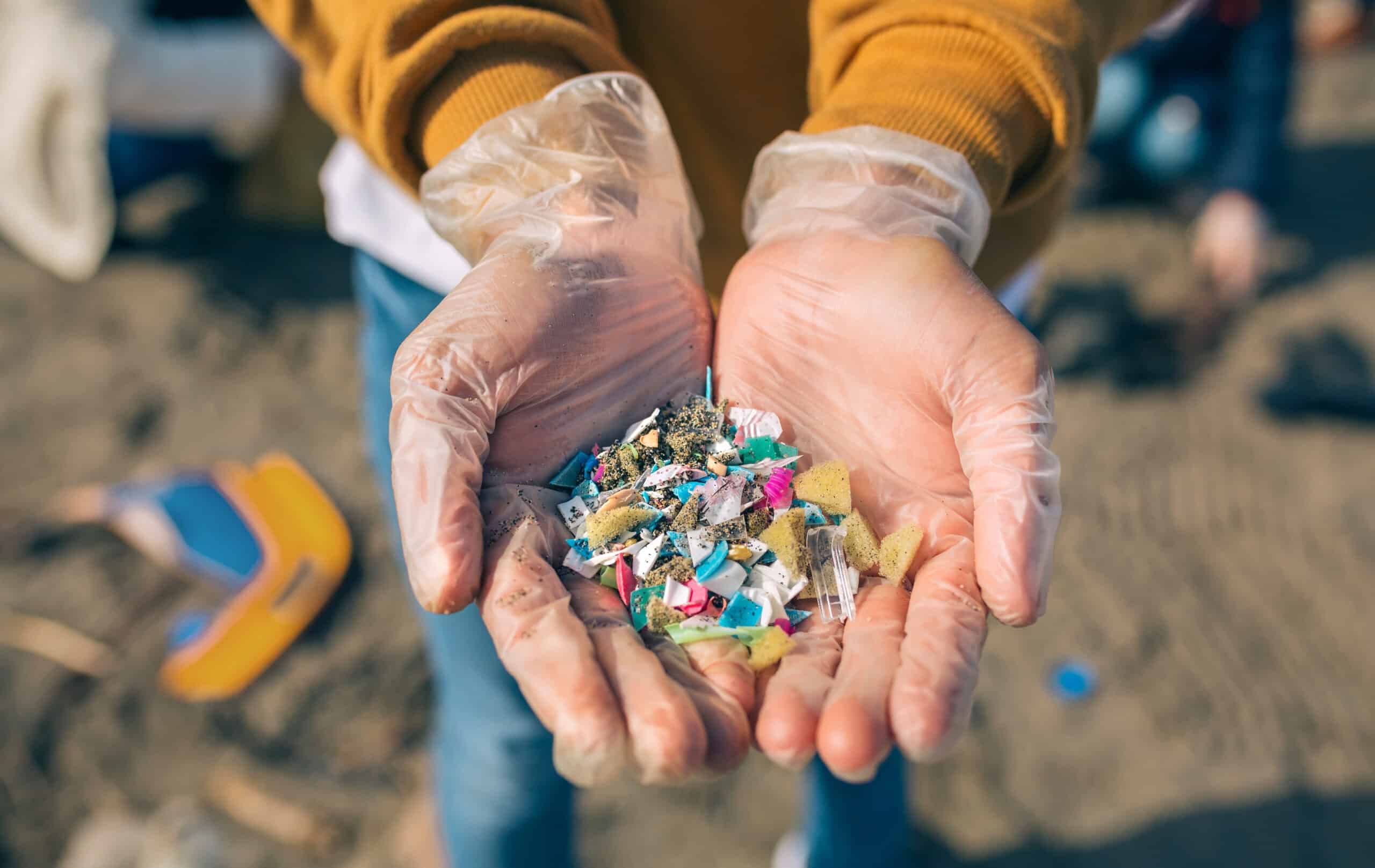 Do I Have Microplastics in My Testicles? What You Need to Know